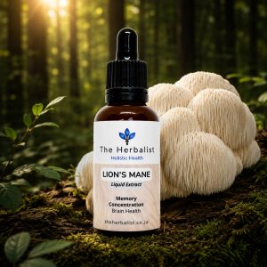 Lions Mane Liquid Extract Tinctures